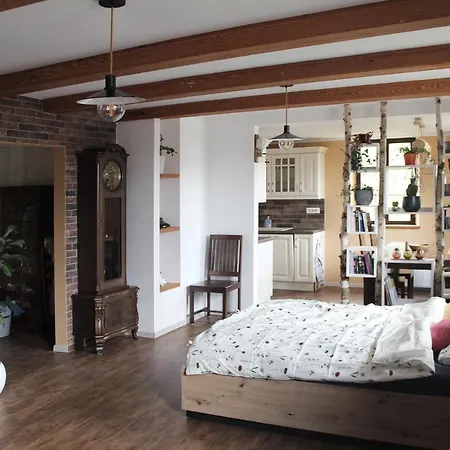 Charlie Apartment Kamnik